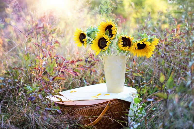 Colorful Arrangements